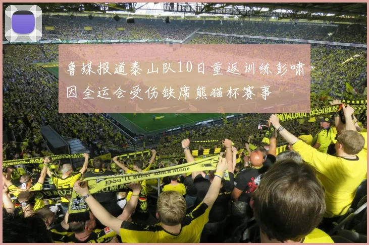 鲁媒报道泰山队10日重返训练彭啸因全运会受伤缺席熊猫杯赛事